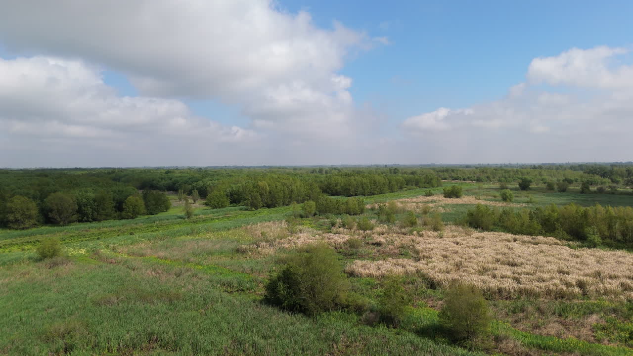 Wide open rural grassland wetland landscape in the Paraná Delta region, Argentina.