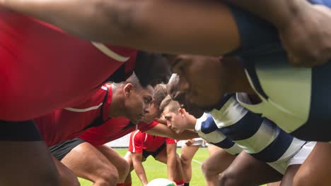 Animación-De-Diversos-Jugadores-De-Rugby-Masculinos-En-El-Estadio.