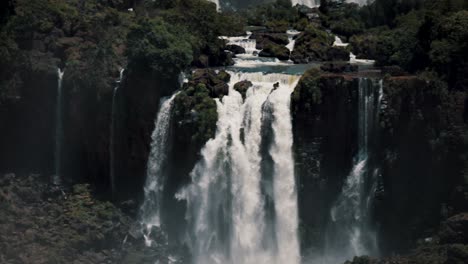 Gran-Pájaro-Volando-Sobre-El-Río-Iguazú-Con-Las-Cataratas-Del-Iguazú-Al-Fondo-En-Brasil-Y-Argentina