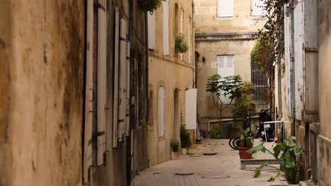 a narrow alleyway with people and plants