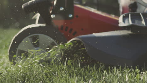 lawn mower mowing grass