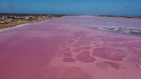 Das-Unglaubliche-Rosa-Wasser-Der-Salinas-De-Las-Cumaraguas,-Salzebenen,-Falcon-State-Venezuela,-Luftaufnahme