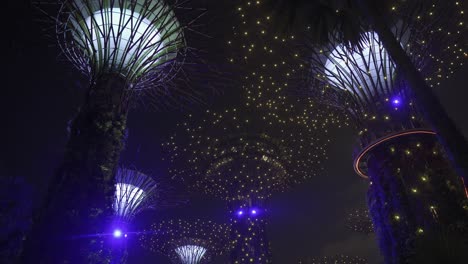 garden by the bay supertree grove light show