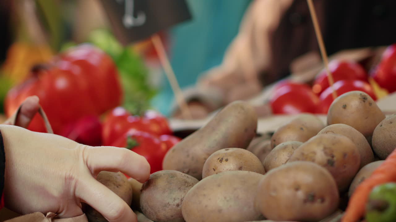 verduras frescas en el mercado