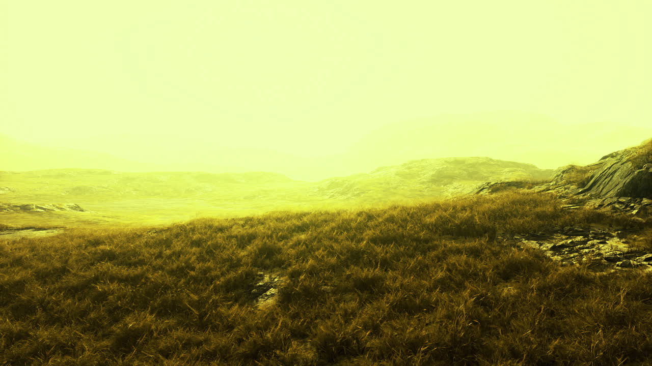Vast grassland under a hazy sky invites tranquil exploration and adventure