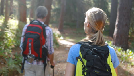 portrait of hiker couple hiking in forest