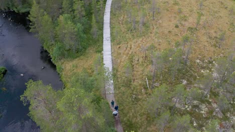 aerial view of people hiking on a boardwalk through a forest by a river