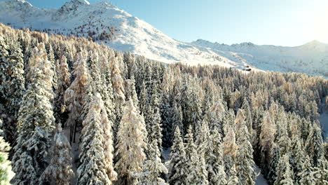 Aerial-view-of-a-freshly-snow-covered-forest-in-the-Alps-with-wooden-huts-in-the-sunrise