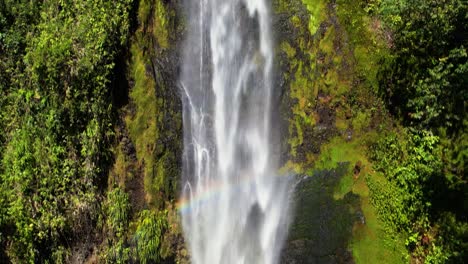 cerca de una cascada tropical que fluye a través de la vegetación húmeda