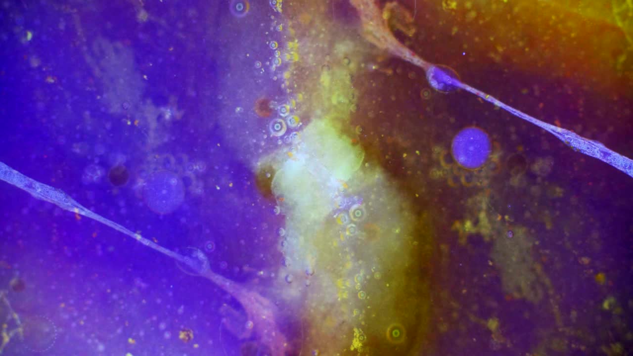 el rizado de las pinturas