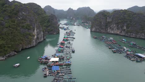 Toma-De-Drones-De-Un-Pueblo-Pesquero-Flotante-En-Cat-Ba-Y-La-Bahía-De-Halong-En-El-Norte-De-Vietnam