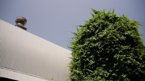 static-shot-looking-up-at-the-metal-roof-of-a-barn-and-a-grain-silo-covered-in-foliage