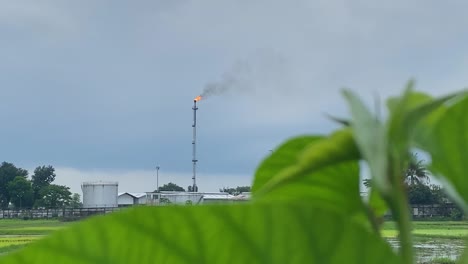 卡拉什蒂拉天然氣田廠在背景下燃燒著<unk>色火焰