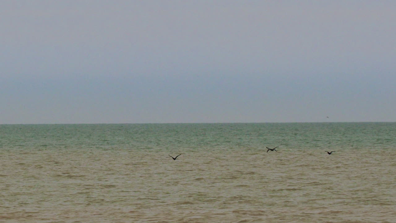 거대한 녹색 파란 물체 위에서 느린 움직임으로 날아가는 새들