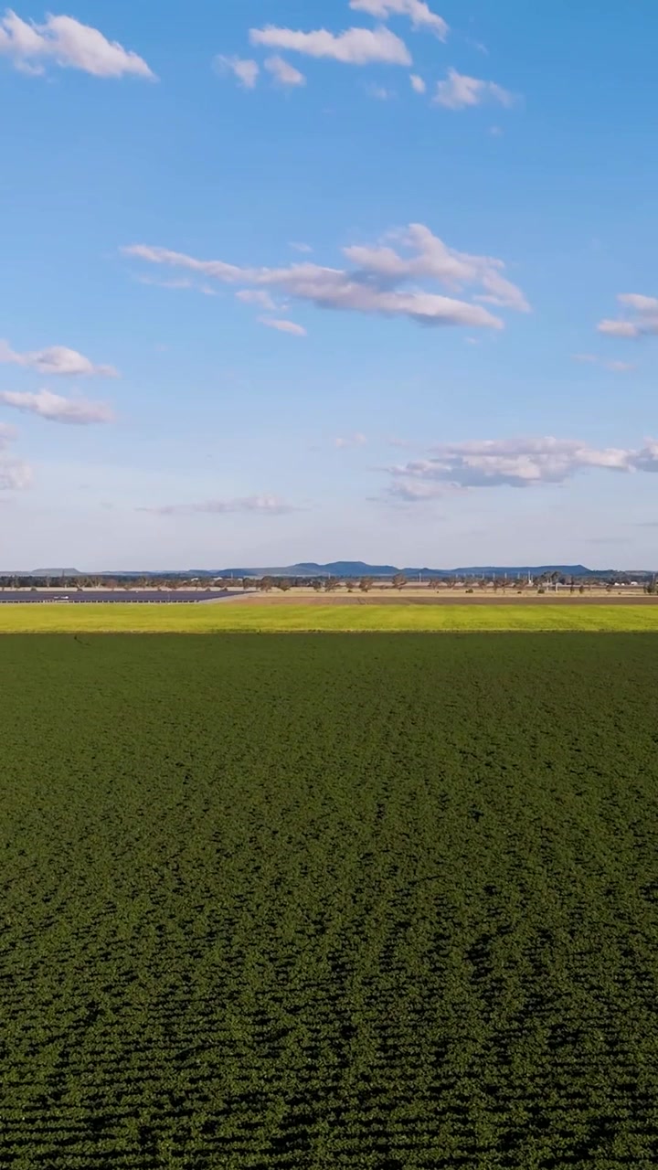 Expansive fields with solar panels and crops
