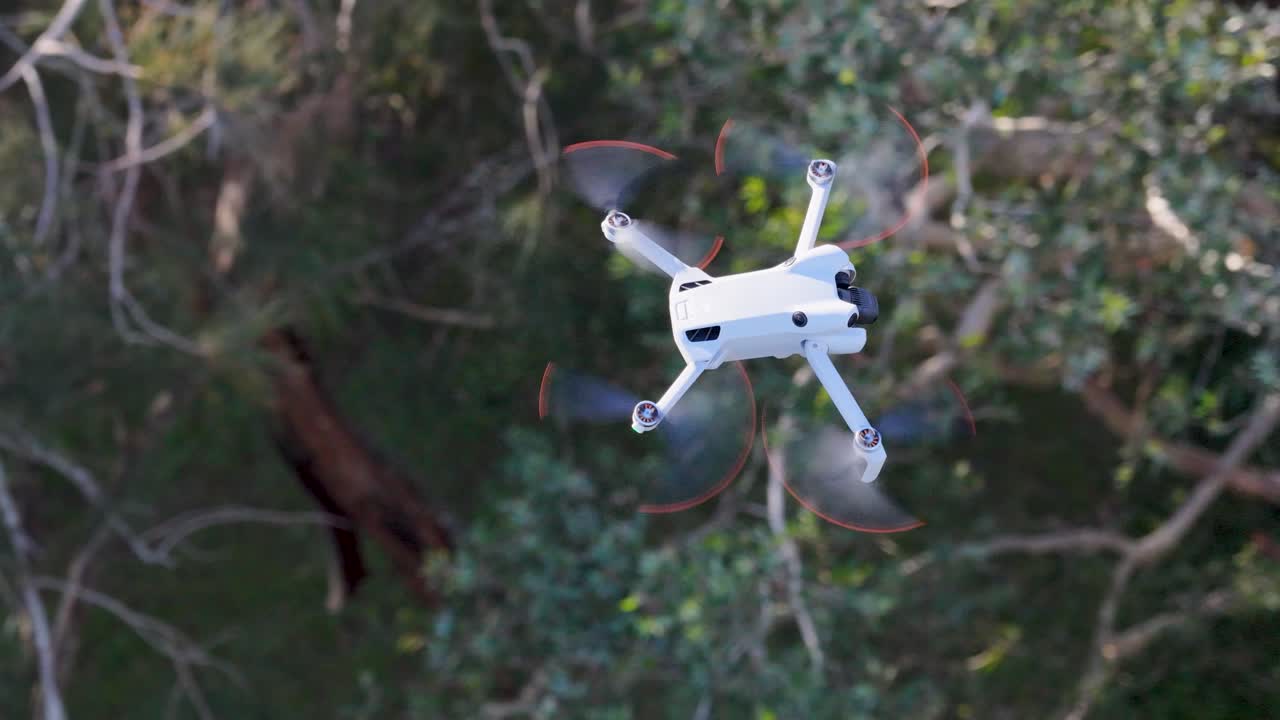Aerial footage of a drone hovering amidst dense greenery in Gold Coast, Australia, captured with smooth camera movements and natural lighting