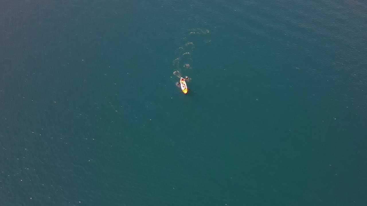 호수 에 있는 카야크