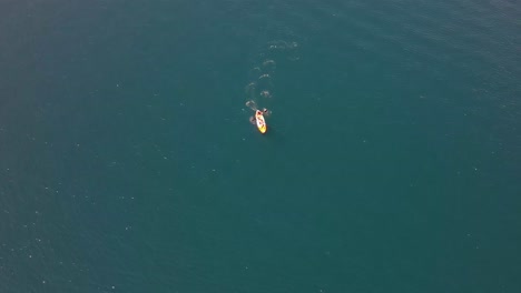 kayaks en el lago