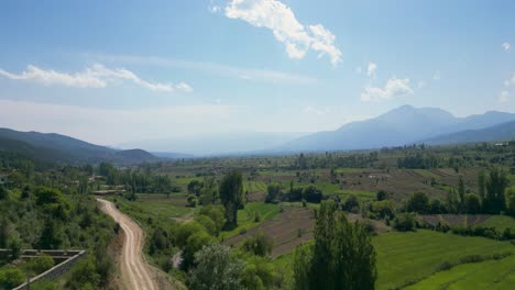 árboles verdes en paisajes agrícolas