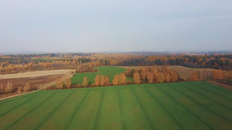 Sonniger-Herbsttag-Auf-Dem-Land