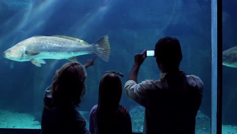 Happy-family-looking-at-fish-