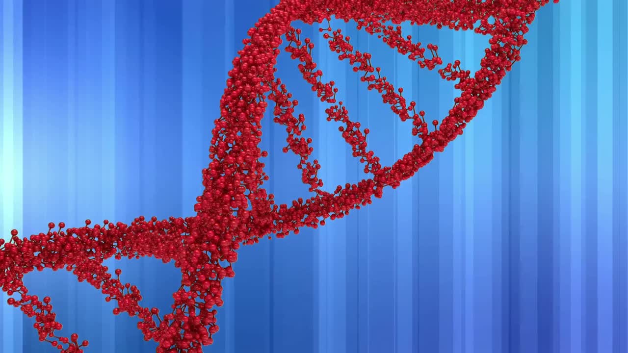 ADN en doble hélice