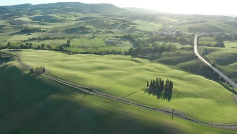 drone shot at sunset of the famous cypresses from val d'orcia in tuscany, italy