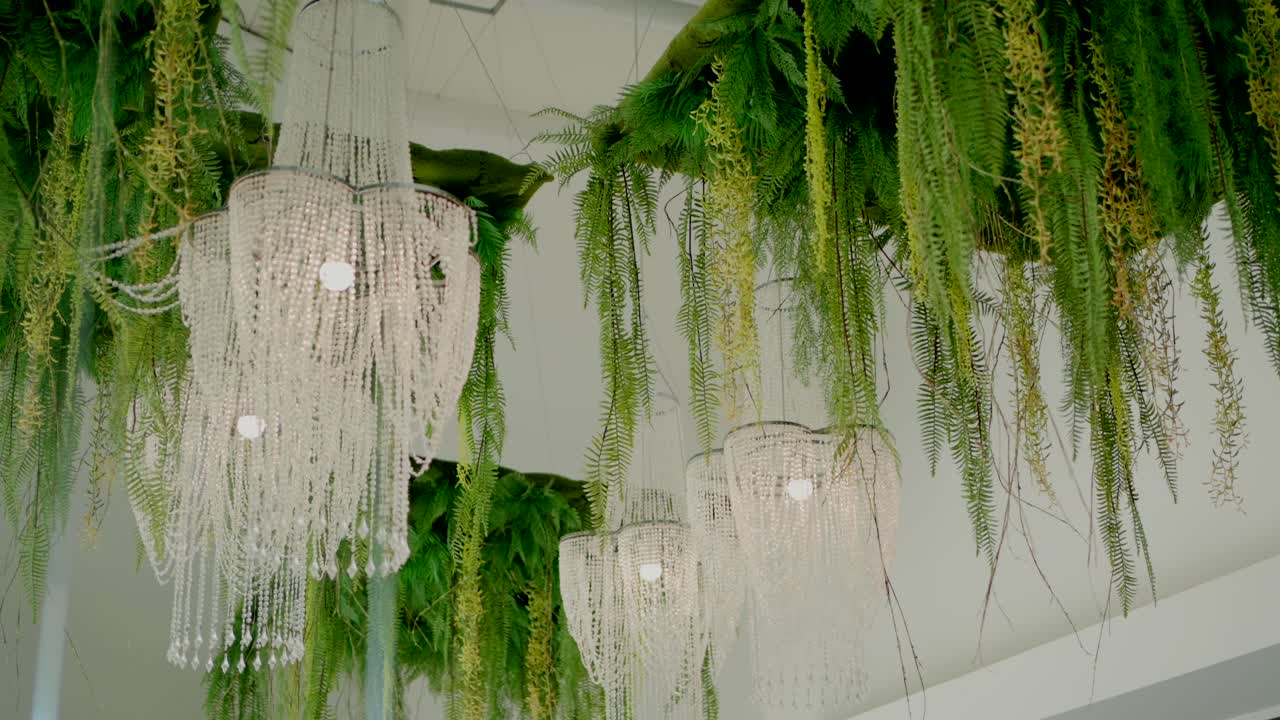 elegantes candelabros de cristal con vegetación colgante en un espacio interior decorado