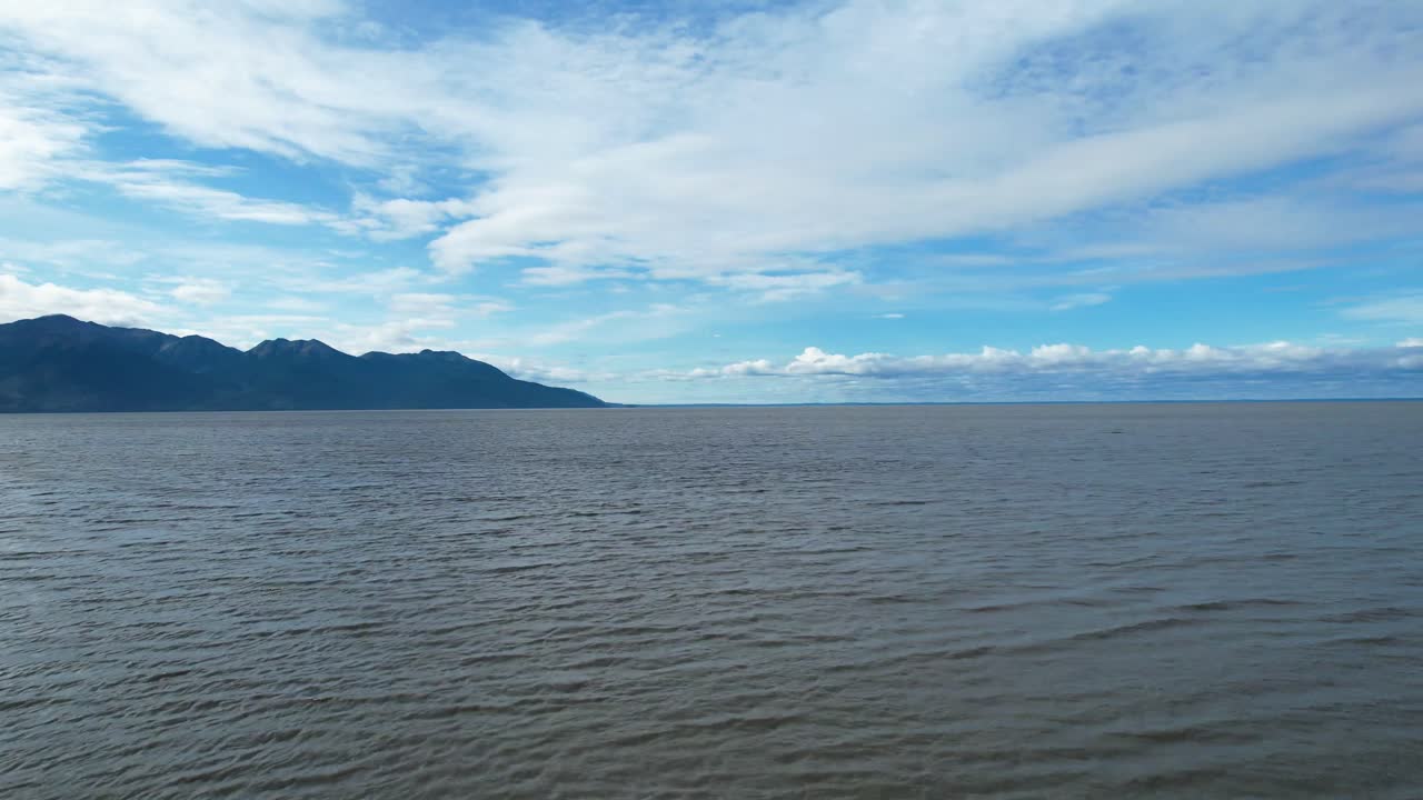 흰돌고래와 함께 턴어게인 암 알래스카에서 바다 위를 날다