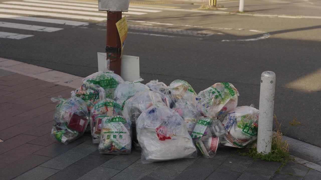 Transparent garbage bags with recyclables sorted on street curb waiting for waste collection