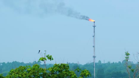 Quema-De-Gas-De-Una-Gran-Chimenea-En-Una-Refinería-De-Petróleo,-Concepto-De-Contaminación-Del-Aire