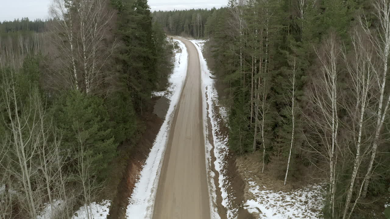Ensom grusvej i skov.