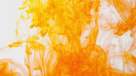 pintura o tinte naranja derramada en agua contra un fondo blanco para crear un fondo de humo de colores giratorios 9