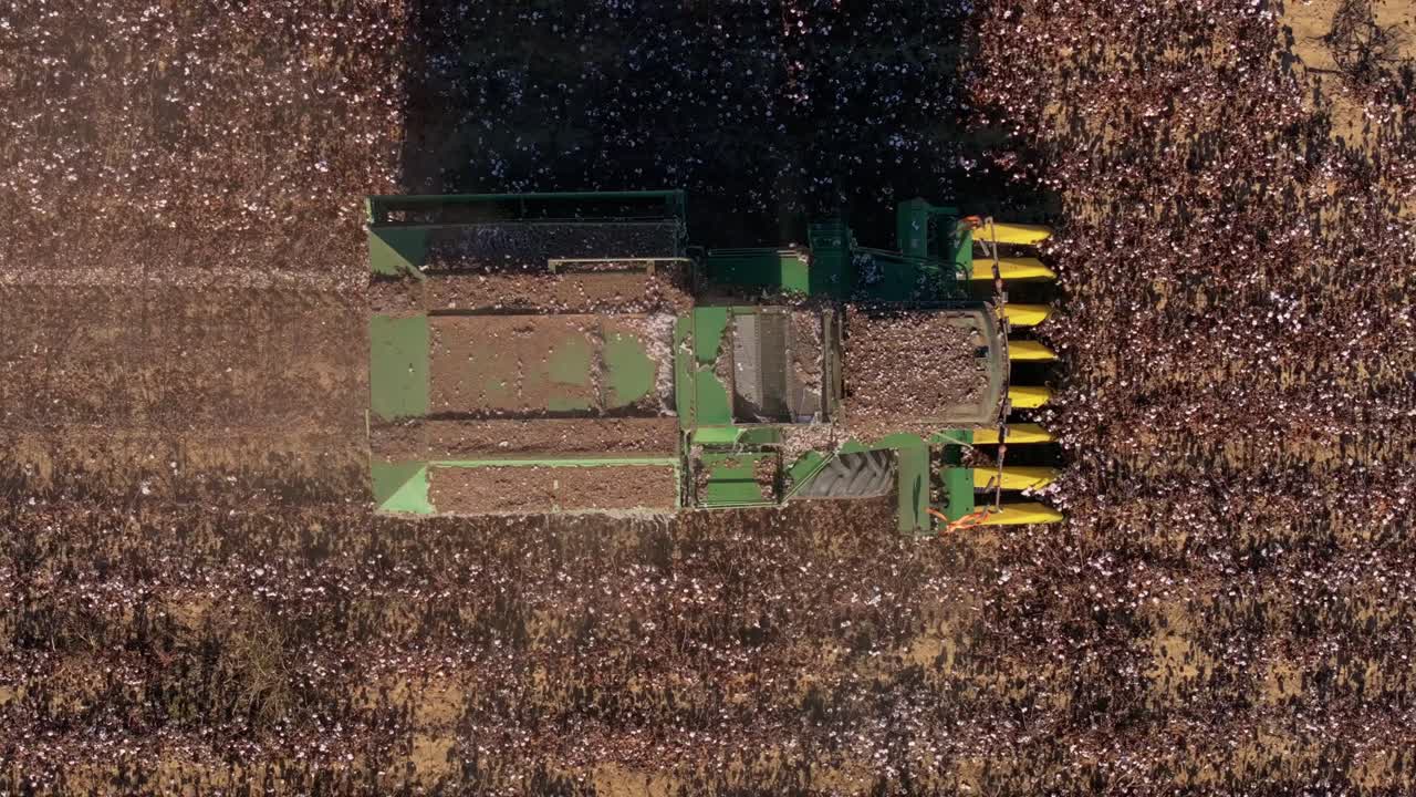 Prospettiva aerea di una raccoglitrice di cotone tra campi a mosaico e vette, Grecia.