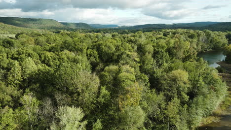 Shrub-Thickets-And-Wetlands-Overlooking-Mountains-In-Durham,-Arkansas,-United-States