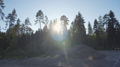 Die-Sonnenstrahlen-Scheinen-Durch-Die-Dunklen-Silhouetten-Der-Bäume