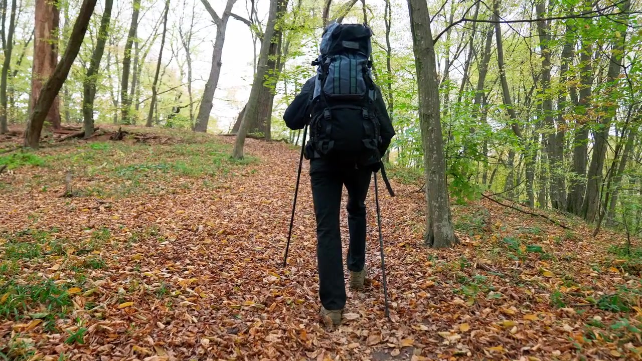 Achteraanzicht van wandelaar met rugzak die bergopwaarts loopt in een herfstbos