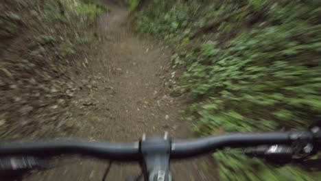 Riding-downhill-with-the-MTB-bicycle-in-Lithuanian-forest-in-Vilnius