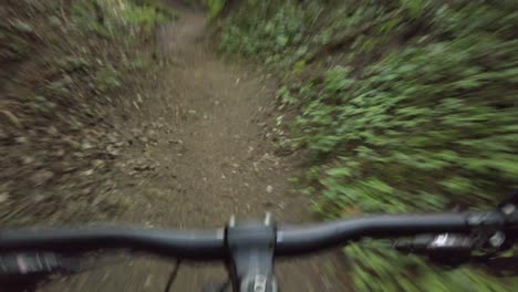 riding downhill with the mtb bicycle in lithuanian forest in vilnius