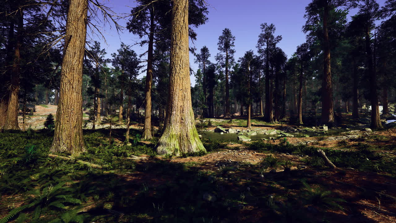 Lush green forest with tall trees and clear blue sky showcasing natures beauty