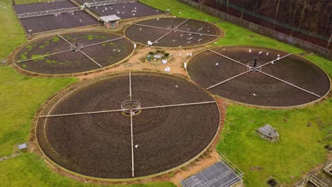 clarificador de la planta de tratamiento de aguas residuales con pájaros en thetford, norfolk - toma aérea de drones