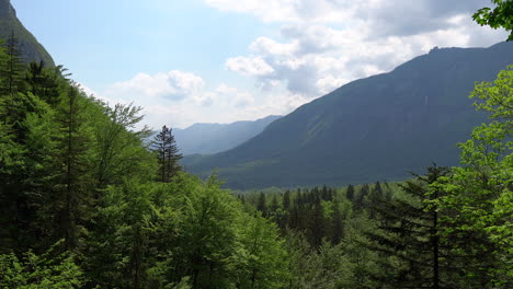 Descripción-General-De-Un-Valle-A-Través-De-Los-árboles-En-Los-Alpes-Europeos-En-El-Parque-Nacional-Triglav-En-Eslovenia