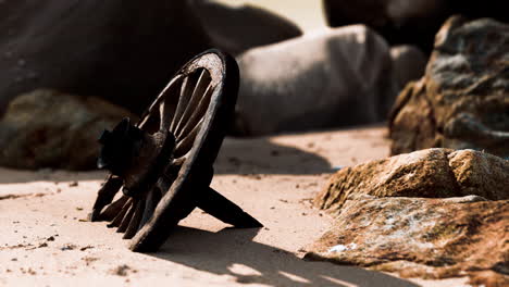 old wooden cart wheel at sand beach