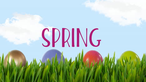 animación de texto de primavera y huevos de pascua sobre fondo azul