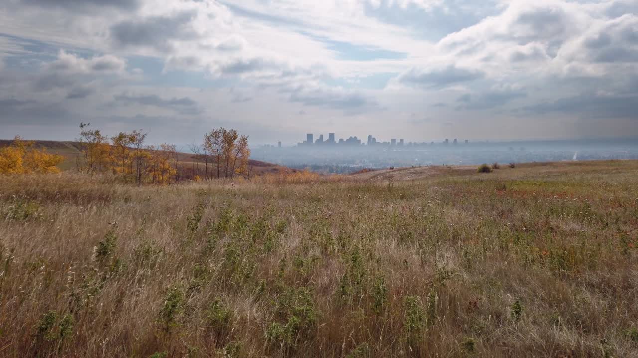 horizonte de la ciudad desde los rascacielos del prado otoño hierba amarilla calgary alberta canadá