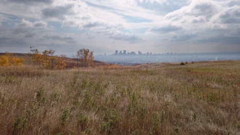 city skyline from meadow skyscrapers autumn yellow grass calgary alberta canada