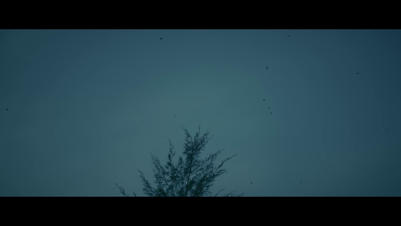 Birds Flying Above a Tree at Dusk