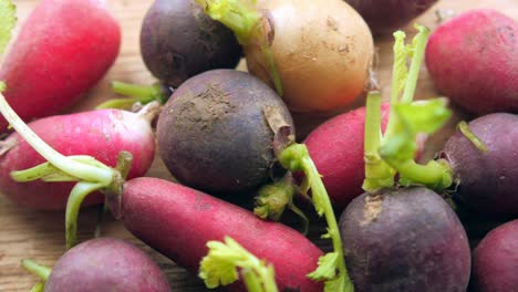 assortment of colorful small radishes