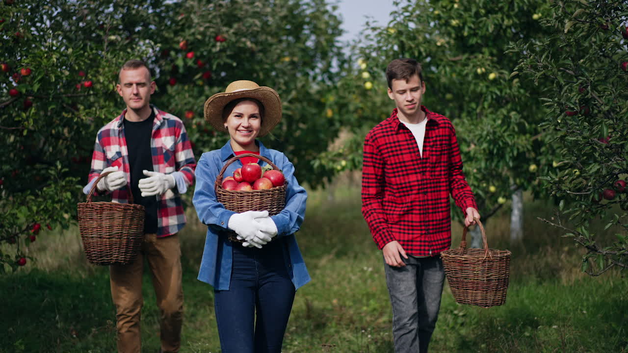 Tired but happy family of farmers after picking crops of apples. Woman is holding a full basket of fruit and men have half-empty ones. Sunny garden backdrop.