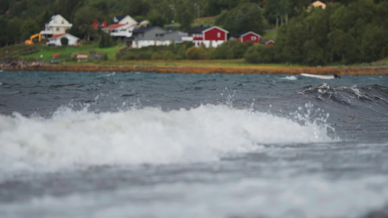 색 무의 파도가 해안에 부히고